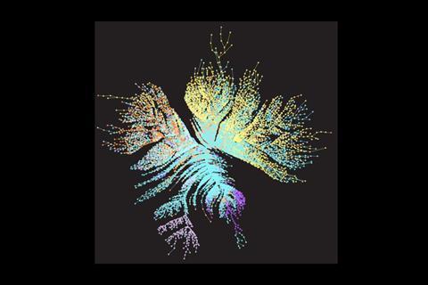 sFig_MST_nodes_frac1nonOriented_black